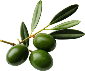 Wall Mural - Olives with leaves clip art