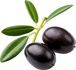 Wall Mural - Olives with leaves clip art