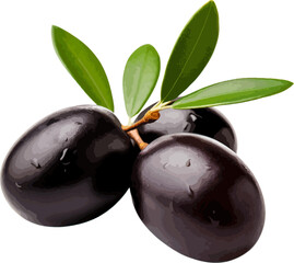 Wall Mural - Olives with leaves clip art