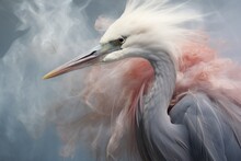 A Close Up Of A Bird With A Lot Of Smoke Coming Out Of It's Head And Neck, With Smoke Billowing From Its Billowing Behind It.