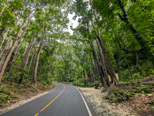 Driver's Point Of View Of A Highway Flanked By Mahogany Trees. Passing By The Bilar Man Made Forest In Bohol.