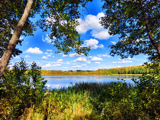 Wall Mural - Beautiful colorful summer spring natural landscape with a lake in Park surrounded by green foliage of trees in sunlight. Water through the branches of trees