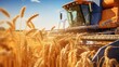 Harvester harvesting ripe grain in farmer's field