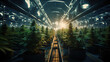 Advanced grow facility specializing in indoor hemp cultivation for the production of premium medicinal cannabis 