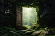 An open door standing in the middle of a forest. This image can be used to represent mystery, adventure, or new beginnings in various projects.