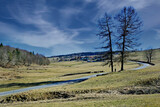 Fototapeta  - Early spring landscape in Low Beskids (Beskid Niski), Poland