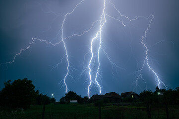 Wall Mural - branched thunderbolts of lighting are hitting the earth at night