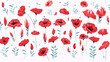 Blooming poppies flowers pattern on a wide-angle panoramic white background. Generative AI