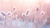 Fototapeta Dmuchawce - A mesmerizing winter nature background captured in macro. Delicate, fluffy tall grass stems elegantly coated in snow amid a gentle snowfall