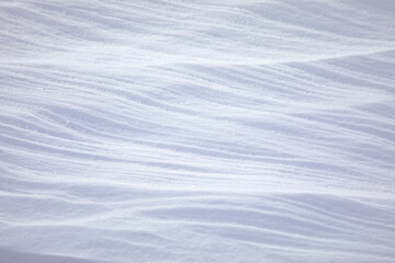 Wall Mural - winter snow in a forest