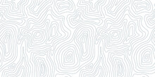 Elevation Line Pattern. Topographic Terrain Map Background