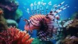 Predator lionfish in the sea, underwater photo. Tropical reef and venomous red fish. Snorkeling on the coral reef with colorful marine wildlife. Aquatic animal, corals and sea.