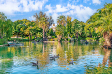 Waterfowl On A Pond In The Ciutadella Park In Barcelona On A Sunny Autumn Day, Spain. People Ride Wooden Boats On A Lake In A City Garden Against The Backdrop Of Palm Trees And The Cascade Fountain