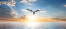 In The Tranquil Portrait Of Nature's Concept, A White Cloud Meandering Across The Blue Sky, The Sun's Golden Rays Reflect Off The Ocean, While A Beautiful Bird With Pastel Feathers Finds Freedom And