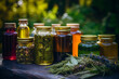 Medicinal herbs and tinctures alternative medicine in jars on table. ai generative