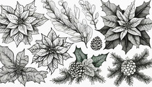 Set Of Black Line Art Winter Botanical Christmas Poinsettia, Pine Cones, Fir Branches, Twigs, Leaves. Winter Floral Greenery Line Art Hand Drawn Sketch. Vector Outline Illustration For Wedding