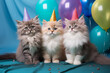 Holiday concept. A group of cute cats having fun at the party