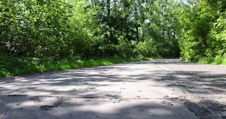 Wall Mural - narrow paved road in summer, paved road in sunny weather