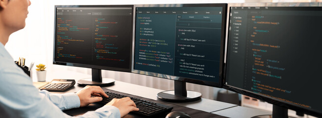 Software engineer working on application development on his computer display code and script on monitor at tech company office workplace. Application developer solving and writing code. Trailblazing