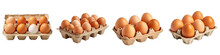Eggs In Carton Hyperrealistic Highly Detailed Isolated On Transparent Background Png File
