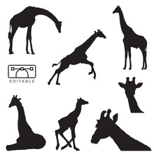 Giraffe Silhouette Set