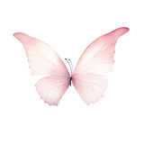 Fototapeta Motyle - Watercolor illustration of a pink butterfly, Cute character, Isolated on background.