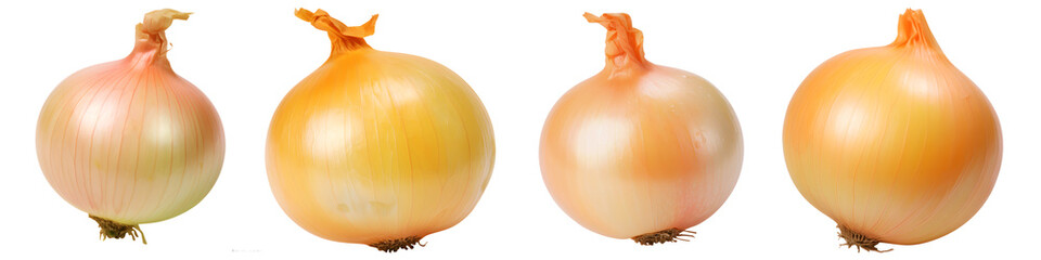 Wall Mural - set of onions isolated on transparent background - design element PNG cutout collection