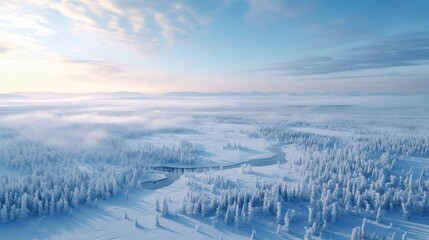 Wall Mural - a snowy landscape with trees