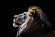 Portrait of a lion on a black background,  Side view