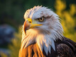 Intense gaze of an eagle captured in detail, highlighting its predatory essence in the wild.