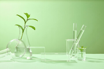 Wall Mural - Product presentation platforms with laboratory concept. Fresh green tea leaves with flasks, beaker, test tubes and glass podiums decorated on green background. Advertising photo