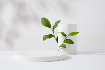 On a white background with leaves shadow, white podiums decorated with green tea leaves. Empty space for cosmetics product presentation. Advertising photo with minimal concept