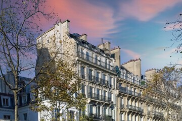 Wall Mural - Paris, beautiful buildings