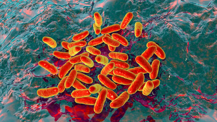 Poster - Haemophilus influenzae bacteria, 3D illustration