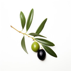 Wall Mural - Olive leaves isolated on white background