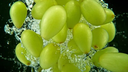 Fototapete - Super Slow Motion of Falling Wine Grapes Into Water on Black Background. Filmed on High Speed Cinema Camera, 1000 fps.