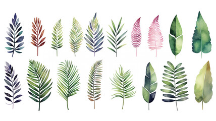 Wall Mural - set of watercolor palm leaves isolated on white background