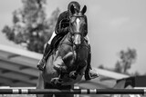 Horse jumping photograph, horse with a rider jumping over an obstacle
