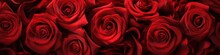 Red Roses As A Background Or Banner