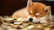 Shiba inu lay on pile of gold coin, funny rich dog