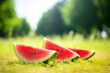 Watermelon slices on grass. Generative AI
