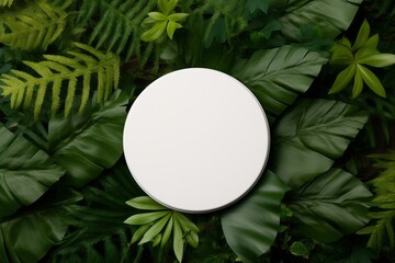 Wall Mural - White Round Template Podium Mockup, a Canvas for Showcasing Natural and Organic Innovations