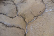 © ADDICTIVE STOCK - Cracked earth texture with subtle water seepage