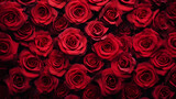 Fototapeta Kwiaty - Red roses background. Beautiful flowers for valentine's day. Colorful background.