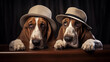  Two basset hounds with brown detective hats sitting next to each other solving a mystery
