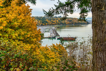 Canvas Print - Tacoma Port Marina