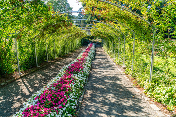 Wall Mural - Park Garden Arbor 2