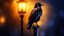  A Black Bird Sitting On Top Of A Pole Next To A Street Light With A Yellow Light In The Background.