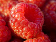 close up of raspberry fruit