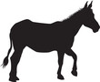 Vector silhouette of a donkey walking